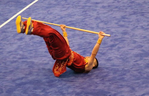 刀枪棍拳 轮番上演 这场省级青少年武术套路锦标赛好精彩