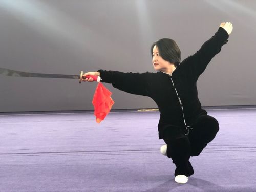 北体传媒摄制 全国最高水平 武术线上课堂 即将上线