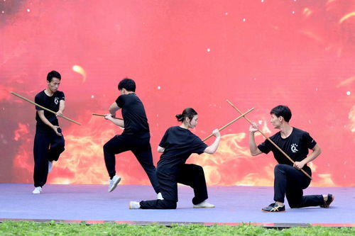武术盛宴 老中青少武术人才共聚 达摩武林大会
