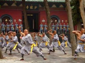 图 孩子去嵩山少林寺武校学武术苦不苦 广州其他培训