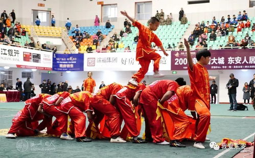 多图 东安县第三届武术文化旅游周开幕 视频