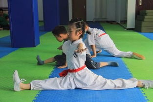 图 昌平青少年学散打及少儿武术培训机构七号武馆 北京文体培训