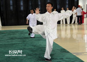 2012年全国武术段位制太极拳技术考试圆满结束
