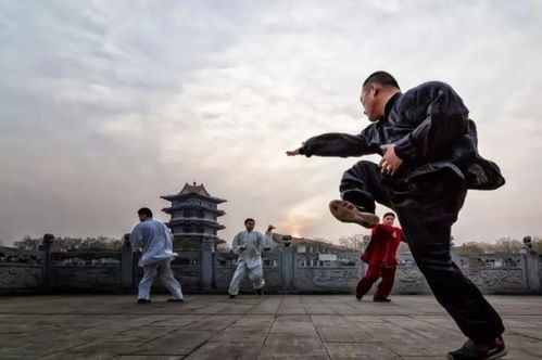 河北非遗传承之沧州武术