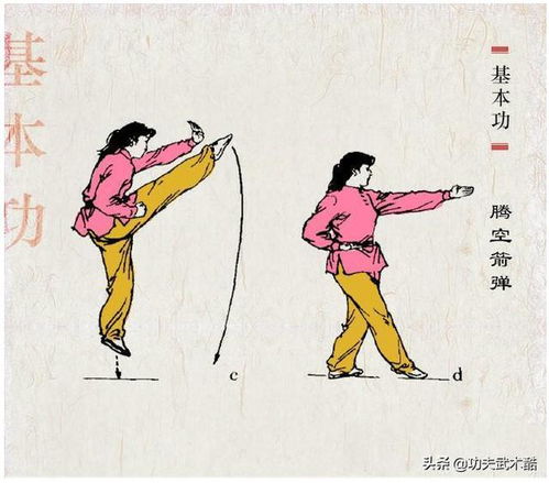 武术基本技能 跳跃动作的训练图解,武术协会权威教材
