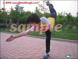 武校前校长讲述网络功夫情色图出炉过程