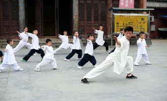 武汉小道士高温下练武术 萌态惹人