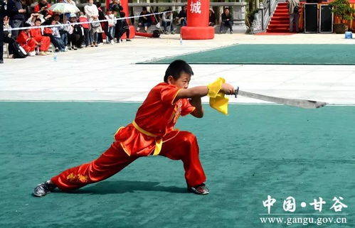 中国 甘谷 姜维杯 青少年武术俱乐部邀请赛隆重开赛