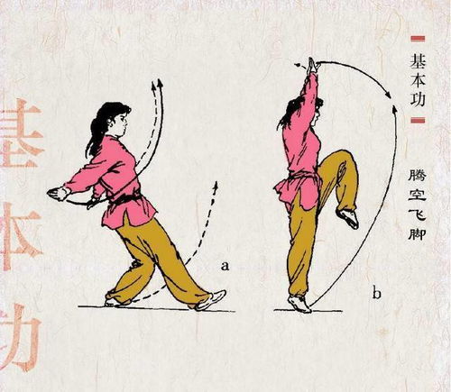 武术基本功 跳跃动作