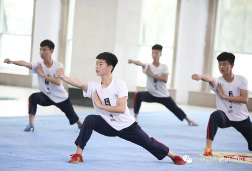 学习武术历练您的孩子,在少林延鲁武校开启不同人生