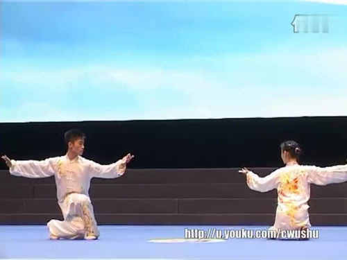 2014年全国武术套路锦标赛太极拳赛 自选太极拳