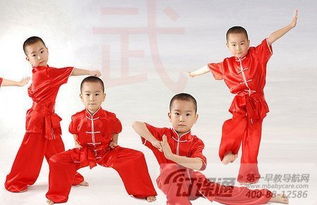 幼儿武术的介绍