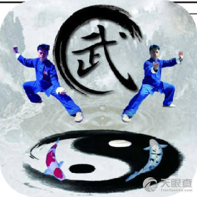 掌上武术