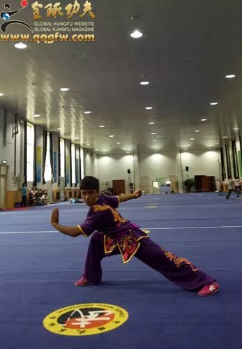 专家团为印度武术国家队把脉