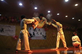 武术之夜 惊艳白云