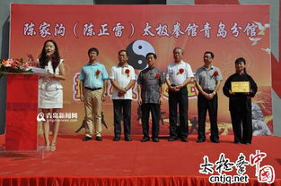 陈正雷 实现武术文化的 精品价值