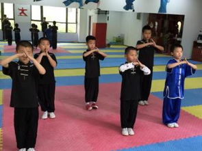 图 天通苑武术,武艺宝贝功夫会馆,优惠多多 北京文体培训