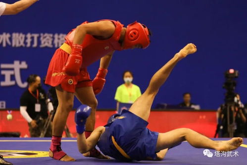 武术散打资格赛第二单元现场高清图