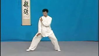 武术套路