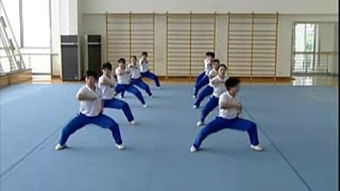 大学武术 –