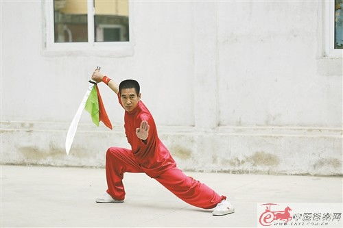 武术门派30余个 仅少林拳就8种