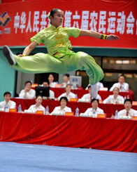 第六届农运会 武林高手角逐武术赛场 组图