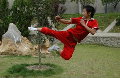 湖北武术培训排名