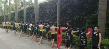 图 学武术可以强身健体 修身养性 培养良好的习惯 深圳文体培训