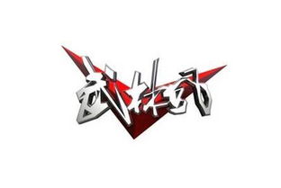 在历史传承中沉浮的武术