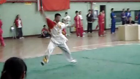 省武术比赛 –