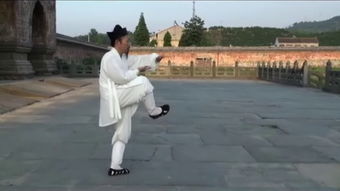 武当山武术 –