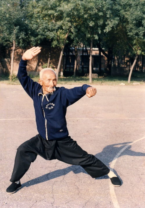 沧州武术 燕青拳