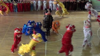 武术——中华文化的瑰宝