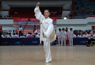 北京武术队 传统与现代的交融