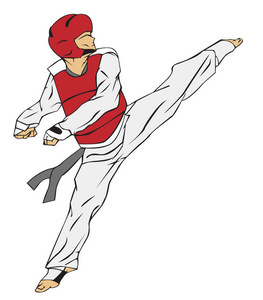 跆拳道与武术 东方武技的双璧