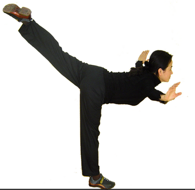 燕式平衡与仰身平衡在武术中的肌肉用力分析