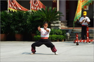 佛山黄飞鸿武术 传统与现代的完美融合