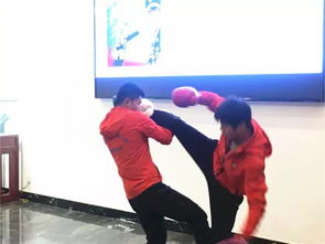 战太极 中华武术文化的新动力