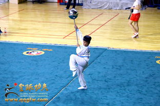 武动京城，以武会友——2016第三届北京国际武术文化节盛大开幕